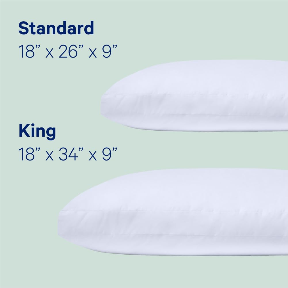 Sleep King Pillow